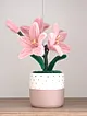 solmayan-dekoratif-mini-saksili-sonil-el-orgusu-cicek-pembe
