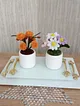 solmayan-cicek-dekoratif-mini-saksili-papatyalar-cok-renkli