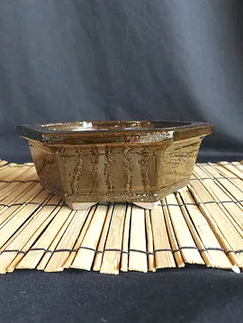 Altıgen Bonsai Saksısı 