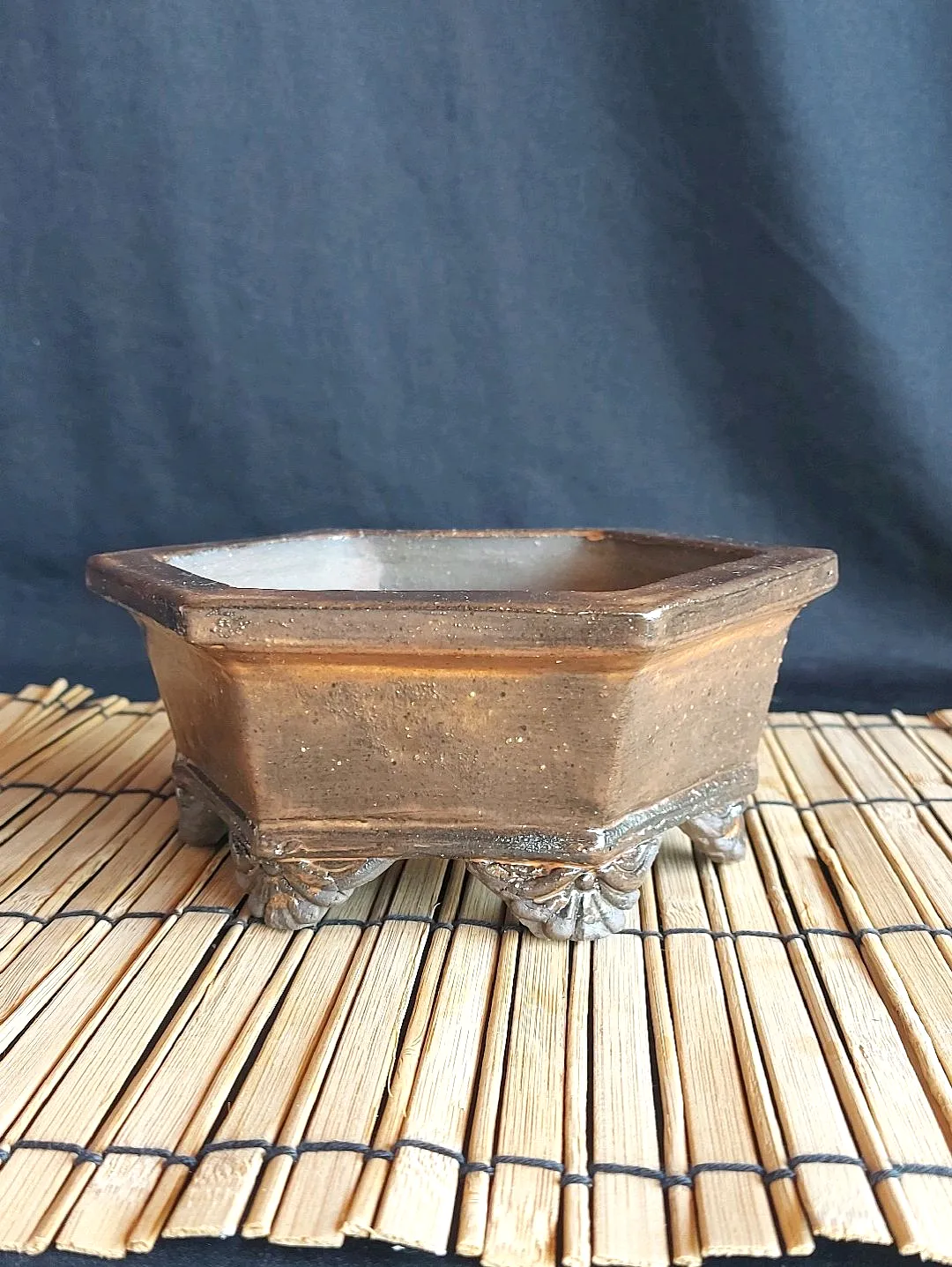 altigen-bonsai-saksisi-taba