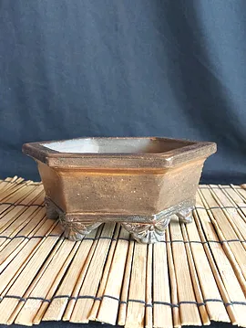 Altıgen Bonsai Saksısı  Taba