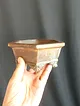 altigen-bonsai-saksisi-taba