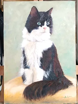 Kedi 42x30 Yağlı Boya 