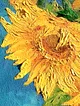 aycicekleri-50x40-yagli-boya-tablo