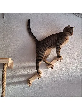 Ahşap Kedi Merdiveni 2 Basamaklı - 051