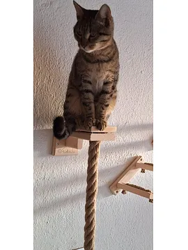 Kedi Tırmanma Halatı 1 Metre - 054
