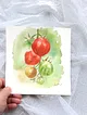domates-salkimi-kirmizi