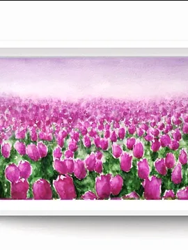 Lale Tarlası Pembe