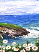 sahildeki-papatyalar-mavi