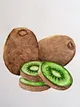 kiviler-yesil