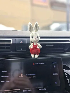 Araba Fan Süsü Çok Renkli