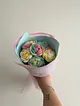 renkli-guller-cok-renkli