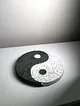 yin-yang-tablo-siyah
