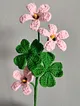 yonca-cicegi-pembe