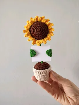 Gülümseten Ayçiçeği Güno Saksıda Ayçiçeği Örgü Ayçiçeği Sarı