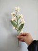 unutma-beni-cicegi-buketi-acik-krem-krem-rengi