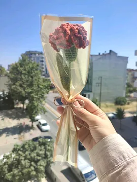 Örgü Karanfil  Mercan Kırmızısı