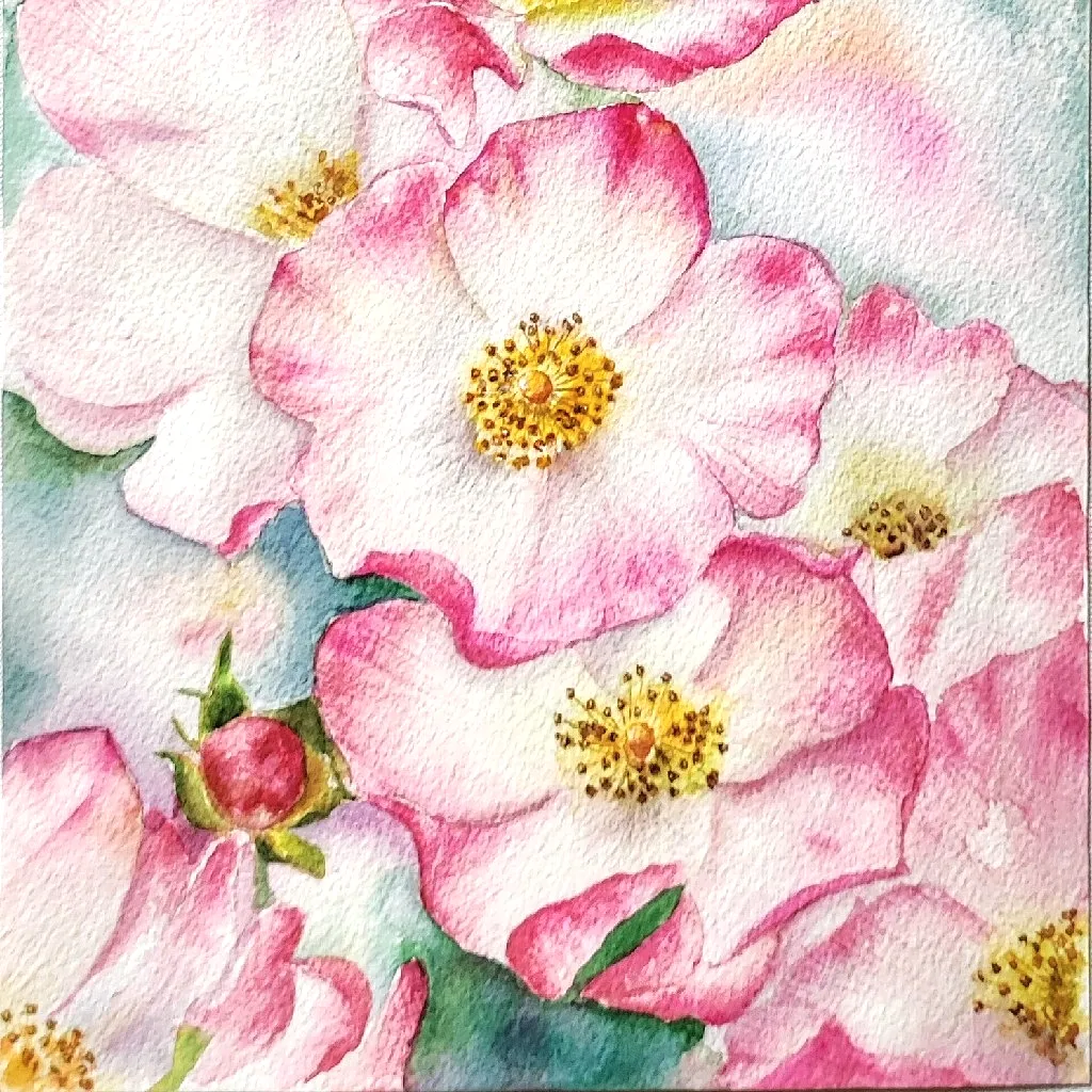 deryaart
